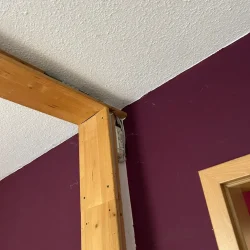 gebäudereinigung bretten