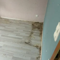 gebäudereinigung bretten