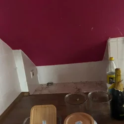 gebäudereinigung bretten