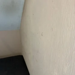 gebäudereinigung bretten